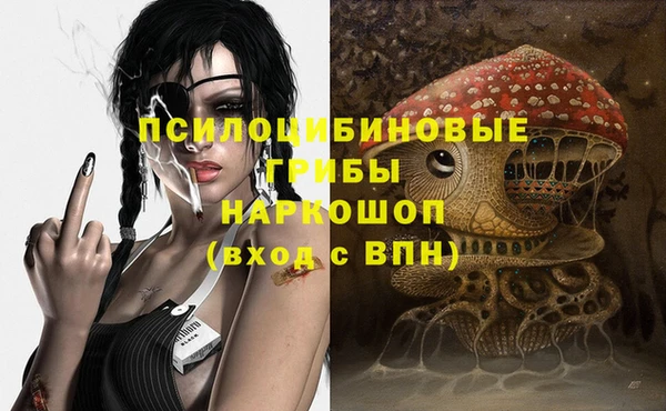 стаф Балахна