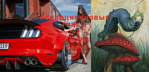 стаф Балахна