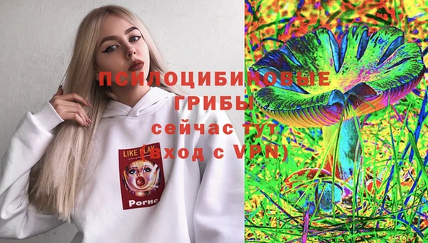 стаф Балахна