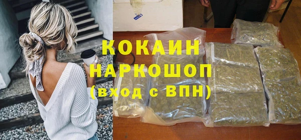стаф Балахна