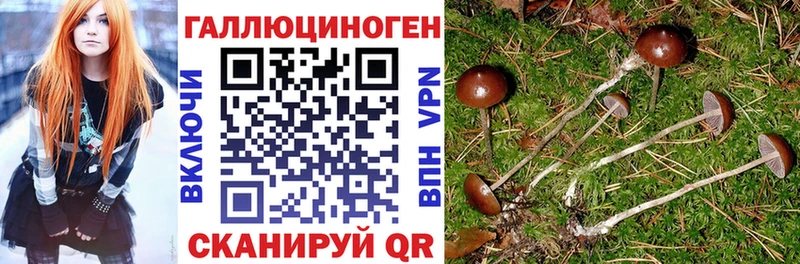 купить наркоту  Торжок  Галлюциногенные грибы ЛСД 